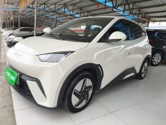 BYD Seagull Glory Edition 305km Vitality Version - ფოტო 1