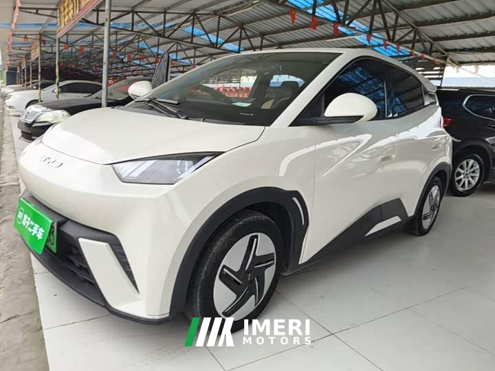 BYD Seagull Glory Edition 305km Vitality Version