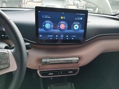 BYD Seagull Glory Edition 305km Vitality Version - ფოტო 13