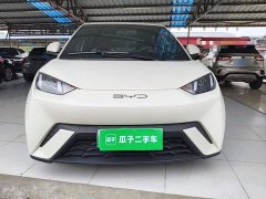 BYD Seagull Glory Edition 305km Vitality Version - ფოტო 3