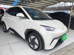 BYD Seagull Glory Edition 305km Vitality Version - ფოტო 4