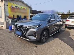 Chery Tiggo 8 PRO Champion Edition 390T Two-Wheel Drive Peak Edition 5-Seater - ფოტო 1