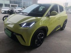 BYD Seagull Glory Edition 305km Freedom Version - ფოტო 1