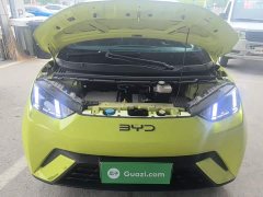 BYD Seagull Glory Edition 305km Freedom Version - ფოტო 16