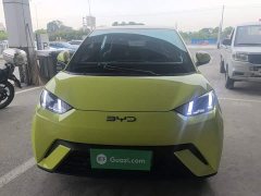 BYD Seagull Glory Edition 305km Freedom Version - ფოტო 3