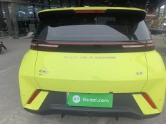 BYD Seagull Glory Edition 305km Freedom Version - ფოტო 4