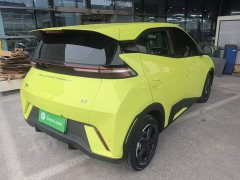 BYD Seagull Glory Edition 305km Freedom Version - ფოტო 5