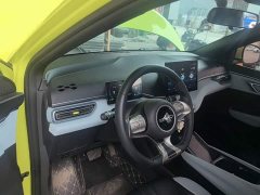 BYD Seagull Glory Edition 305km Freedom Version - ფოტო 6