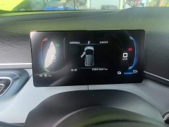 BYD Seagull Glory Edition 305km Freedom Version - ფოტო 8