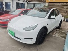 Tesla Model Y Rear-Wheel Drive - ფოტო 1