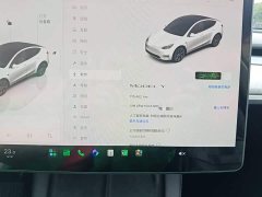 Tesla Model Y Rear-Wheel Drive - ფოტო 12