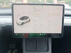 Tesla Model Y Rear-Wheel Drive - ფოტო 13