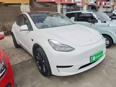 Tesla Model Y Rear-Wheel Drive - ფოტო 4