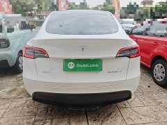 Tesla Model Y Rear-Wheel Drive - ფოტო 6