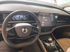 Denza D9 2022 DM-i 970 AWD Flagship - ფოტო 10