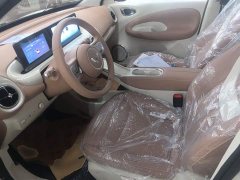 Wuling Binguo 2025 333km Joy Edition - ფოტო 11
