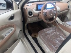 Wuling Binguo 2025 333km Joy Edition - ფოტო 12