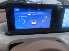 Wuling Binguo 2025 333km Joy Edition - ფოტო 8