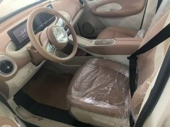 Wuling Binguo 2025 333km Joy Edition - ფოტო 11