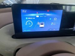 Wuling Binguo 2025 333km Joy Edition - ფოტო 8