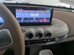 Wuling Binguo 2025 333km Joy Edition - ფოტო 9