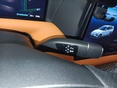 Xpeng G9 2022 702 Max - ფოტო 14