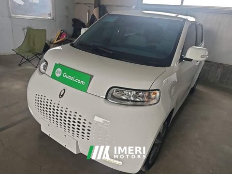 2021 Ora White Cat 2022 Upgrade 305km Luxury Trim Ternary Lithium Battery - ავტომობილი ჩინეთიდან