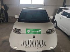 Ora White Cat 2022 Upgrade 305km Luxury Trim Ternary Lithium Battery - ფოტო 3