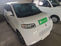 Ora White Cat 2022 Upgrade 305km Luxury Trim Ternary Lithium Battery - ფოტო 4