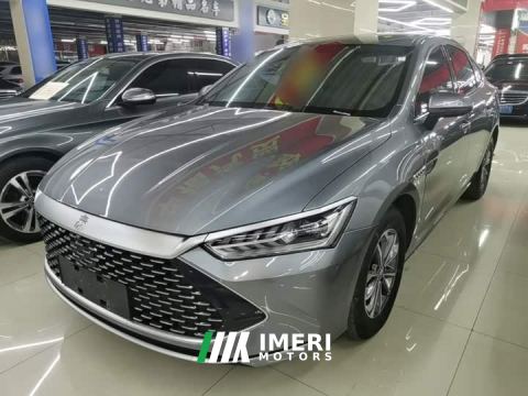 2024 BYD Qin PLUS Glory Edition DM-i 55KM Leading