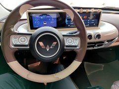 Wuling Binguo 333km Joy Edition - ფოტო 10