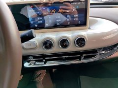 Wuling Binguo 333km Joy Edition - ფოტო 13