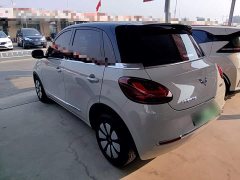 Wuling Binguo 333km Joy Edition - ფოტო 5