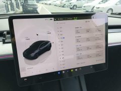 Tesla Model Y Long Range All-Wheel Drive - ფოტო 12