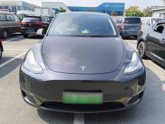 Tesla Model Y Long Range All-Wheel Drive - ფოტო 3