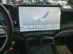 BYD Dolphin 07 DM-i 2026 DM-i 1.5T 230km Flagship - ფოტო 13