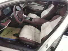 BYD Dolphin 07 DM-i 2026 DM-i 1.5T 230km Flagship - ფოტო 15