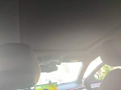 Geely Xingrui Oriental Radiance 1.5TD Kunlun Edition - ფოტო 14