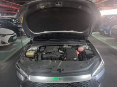 BYD Qin Plus 2021 DM-i 55KM Flagship - ფოტო 16