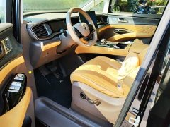 Denza BYD Denza D9 2022 DM-i 1040 Premium - ფოტო 12