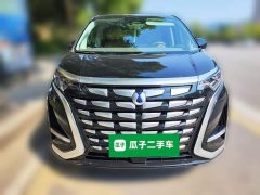 Denza BYD Denza D9 2022 DM-i 1040 Premium - ფოტო 2