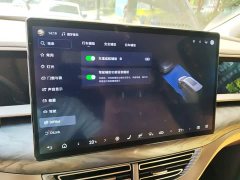 Denza BYD Denza D9 2022 DM-i 1040 Premium - ფოტო 20
