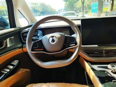 Denza BYD Denza D9 2022 DM-i 1040 Premium - ფოტო 6