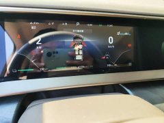 Denza BYD Denza D9 2022 DM-i 1040 Premium - ფოტო 8