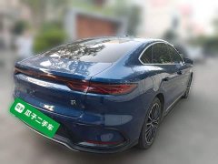 BYD 2022 Han DM-i 121KM Honor Edition - ფოტო 6