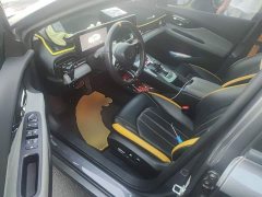 Trumpchi Leopard 270T DCT J16 - ფოტო 12