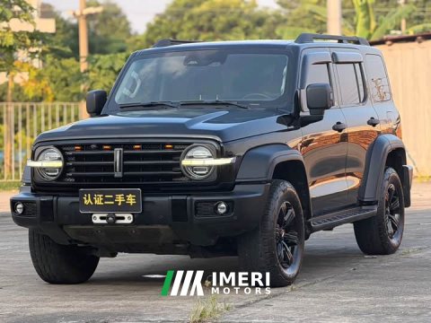 2021 Tank 300 Off-Road Edition 2.0T Conqueror - ავტომობილი ჩინეთიდან
