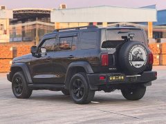 Tank 300 Off-Road Edition 2.0T Conqueror - ფოტო 19