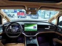 Denza BYD Denza D9 DM-i AWD Premium Navigation Edition - ფოტო 11
