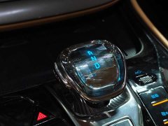 Denza BYD Denza D9 DM-i AWD Premium Navigation Edition - ფოტო 14